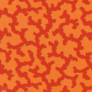 Kaffe Fassett Collective - February 2025 Warm Colorway Coral Red Yardage