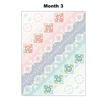 Verona Block of the Month