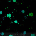Ghouls and Goodies - Ghouls Main Orange Glow in the Dark Yardage