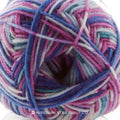 Regia Design Line Star Night Yarn