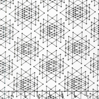 Palm Canyon - Triangles Black Yardage