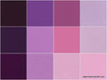 Kona Cotton - Fancy Florals Ten Squares
