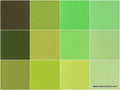 Kona Cotton - Pleasant Pastures Ten Squares