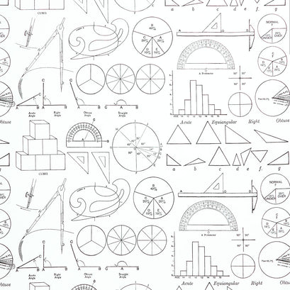 Old School - Math Graphs White Yardage