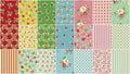 Backyard Roses Rolie Polie