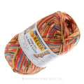 Regia Design Line Twilight Yarn