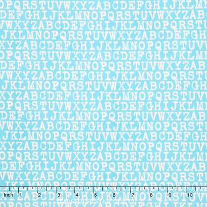 Cozy Cotton Boy - Aqua Flannel Yardage