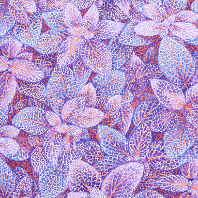 Kaffe Fassett Collective - August 2024 Fittonia Blue Yardage