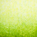 Artisan Batiks - Patina Handpaints Ombre Sprout Yardage