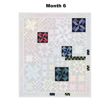 Country Skies at Night Block of the Month
