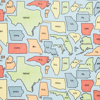 Old School - USA States Blue Yardage