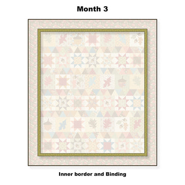Autumn Stroll Block of the Month