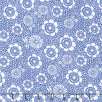Harmony - Scatter Sunshine Dark Sky 108" Wide Backing