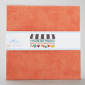 Handpicked Produce Bright Basics Orange Crush 10" Stackers 24 pcs. Alternative View #1