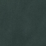 Winterfleece Solids - Solid Hunter Fleece Yardage