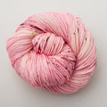 Madelinetosh Tosh Vintage Yarn - Pinata Pop
