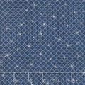 Winter's Grandeur 6 - Evening Diamonds Evening Metallic Yardage