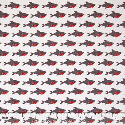 Blackbeard's Pirates - Shark Gray Yardage