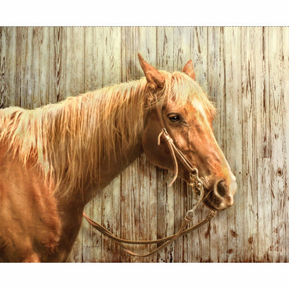 Hold Your Horses - Palomino Horses Digitally Printed Panel