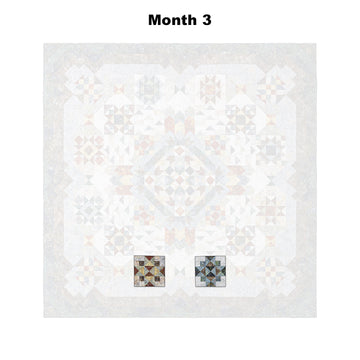 Windsong Block of the Month
