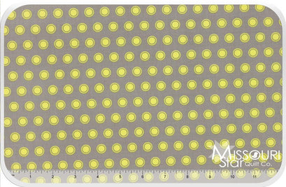 Evening Blooms - Dots Gray Yardage