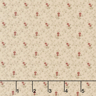 Pam's Patchwork Stars - Nutmeg Beige Yardage