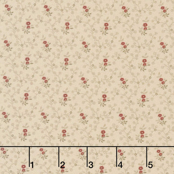 Pam's Patchwork Stars - Nutmeg Beige Yardage