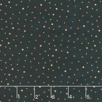 Daisy Lane - Pebbles Mulch Yardage