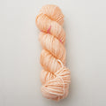 Madelinetosh ASAP Yarn - Cold Drip