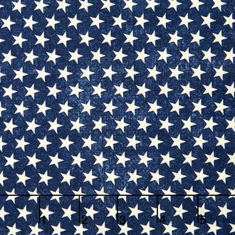 Play Ball - Many Stars Blue Yardage