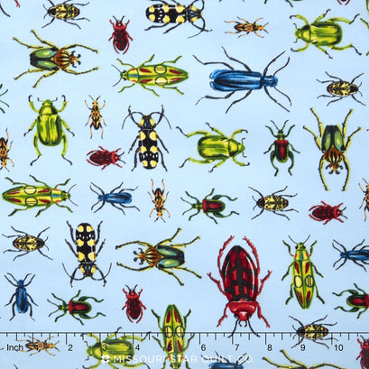 Everyday Favorites - Beetles/Bugs Sky Blue Yardage