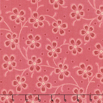 Dahlia - Dianthus Cardinal Yardage