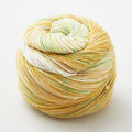 Laines Du Nord Paint Gradient Sock Yarn