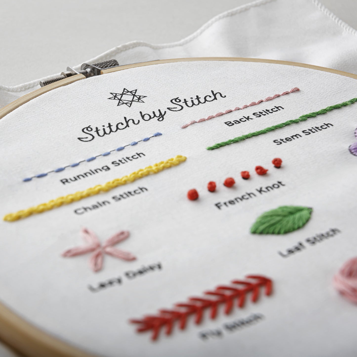 PREORDER - Learn Embroidery Stitch by Stitch with Missouri Star Alternative View #11