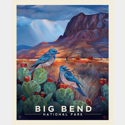 National Parks - Big Bend Poster Multi Panel