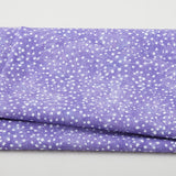 Dreaming of Tuscany - Monotone Dot Purple 2 Yard Cut Primary Image