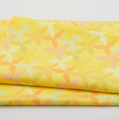 Architecture - Perfect Scale Sunshine 2 Yard Cut