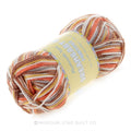 Dreambaby DK Paintpot Orange Grey Yarn