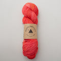 Madelinetosh Tosh Sock Yarn - Real Friends Don't Lie