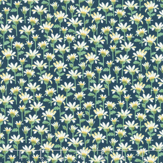 Willoughby - Daisy Navy Yardage
