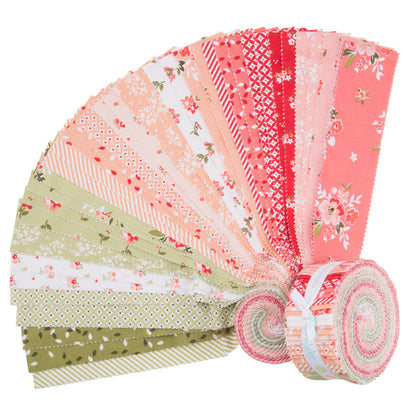 Summer Blush Rolie Polie