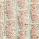 Eclectic Elements - Palette Orange Map Orange Yardage