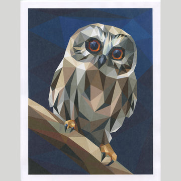 Little Hooter Quilt Pattern Alternative View #3