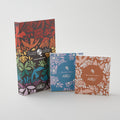 AURIfil Evolve Thread Collection - 8 WT Alternative View #3