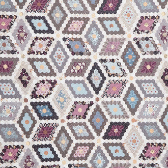 Botanical Beauties - Garden Patch Cheater Sugar and Cream 108" Wide Backing Yardage