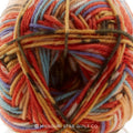 Regia Design Line Twilight Yarn