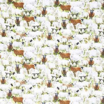 Novelty - Timeless Treasures - Packed Sheep Multi Yardage Primary Image