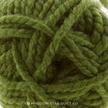 Wool-Ease Thick & Quick - Grass Yarn