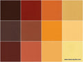 Kona Cotton - Ratatouille Ten Squares