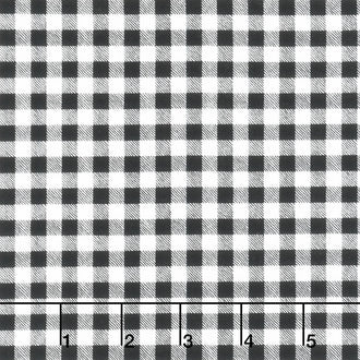 Pumpkin Patch - Gingham Black Yardage